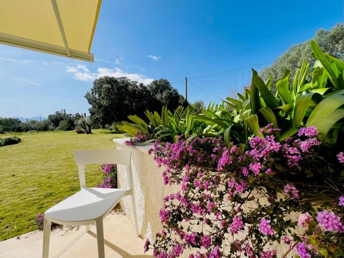 Villa Degli Ulivi
